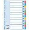 Regiszter, laminált karton, A4, 12 részes, ESSELTE "Mylar"