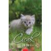 Naptár, fali, CSG, "Cicák"