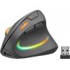 Egér, vezeték nélküli, optikai, vertikális, USB, SPEEDLINK "Piavo Pro", fekete